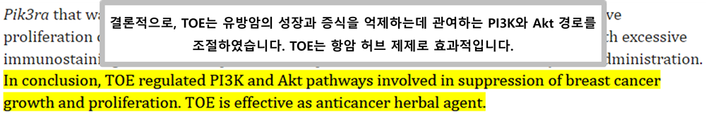 민들레 뿌리 효능