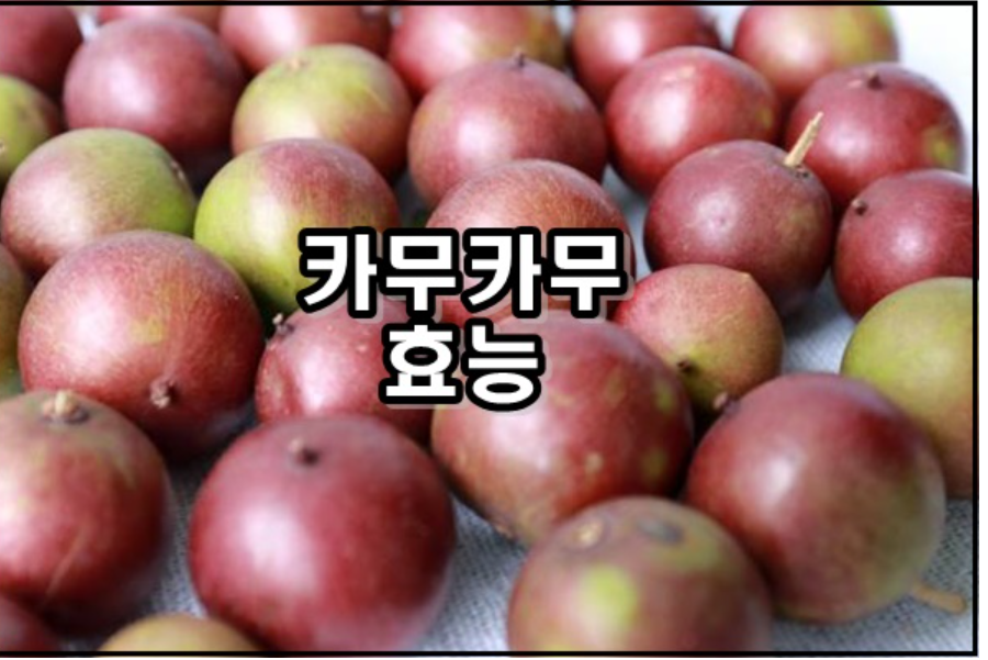카무카무 완전정복 (영양, 효능, 섭취가이드)