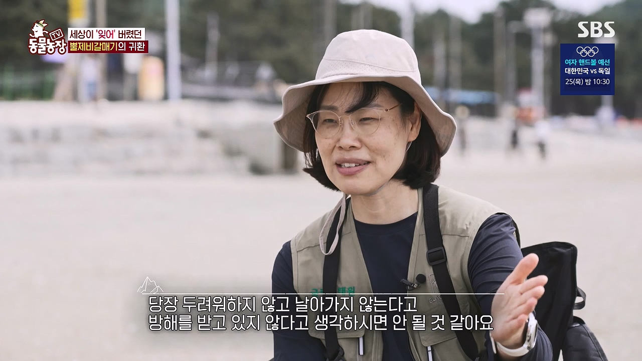 TV 동물농장.E1181.240722p-NEXT.mp4_20240721_165607.167.jpg