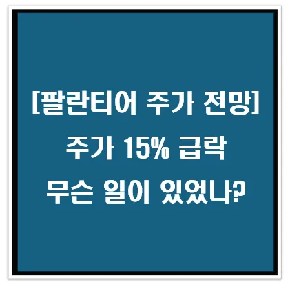[팔란티어 주가 전망] 주가 15% 급락 무슨 일이 있었나? 이미지