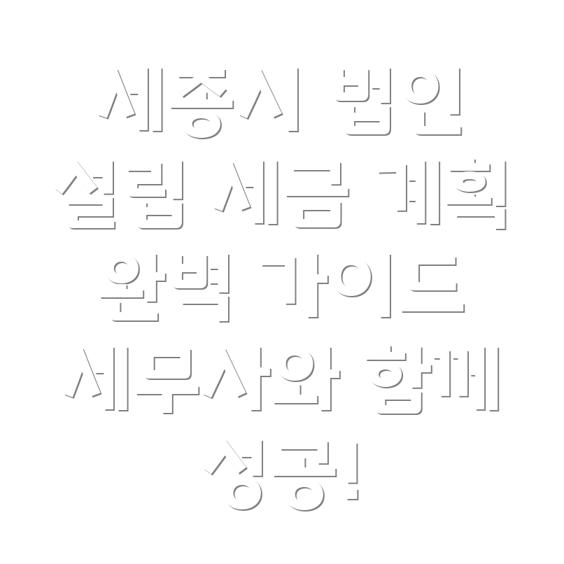 세종시 법인설립
