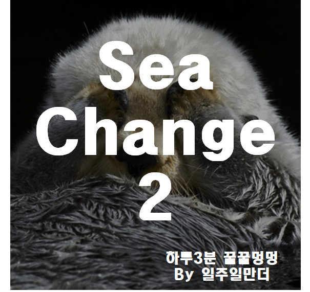 sea change 2