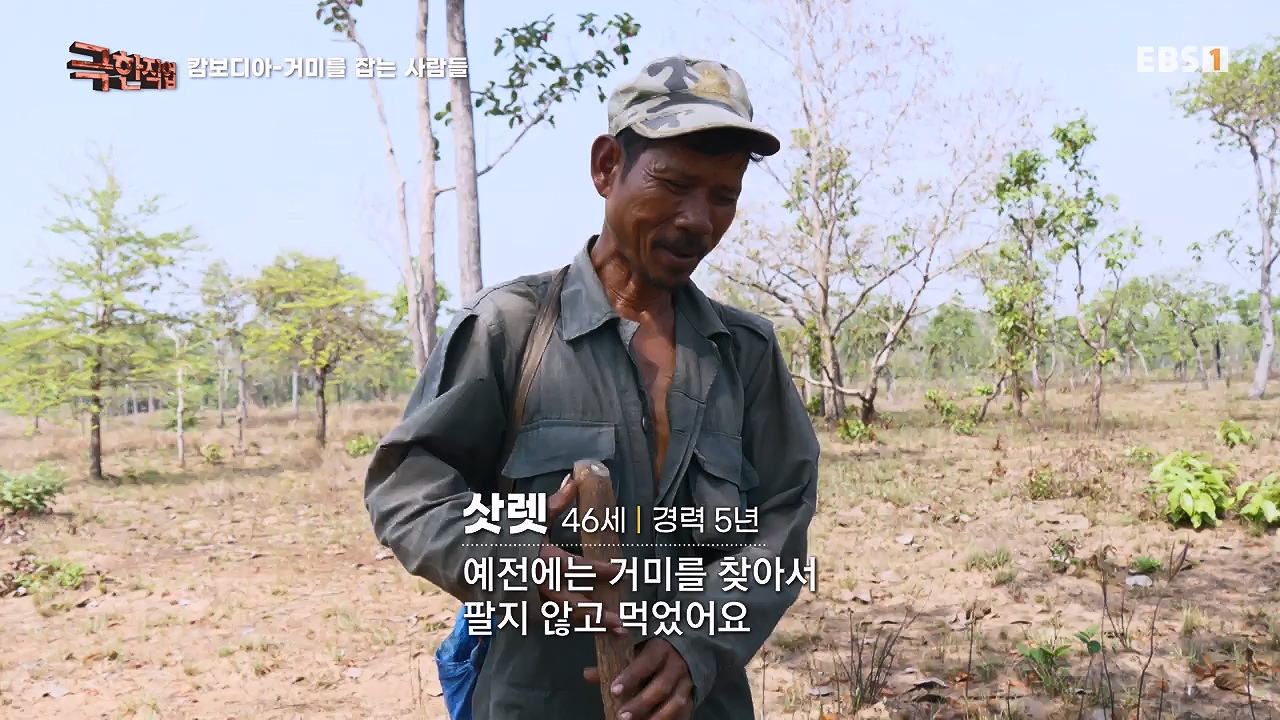 TV - 전 국민의 평생학교 EBS캄보디아 - 독충을 잡는 사람들.mp4_20230501_173359.183.jpg