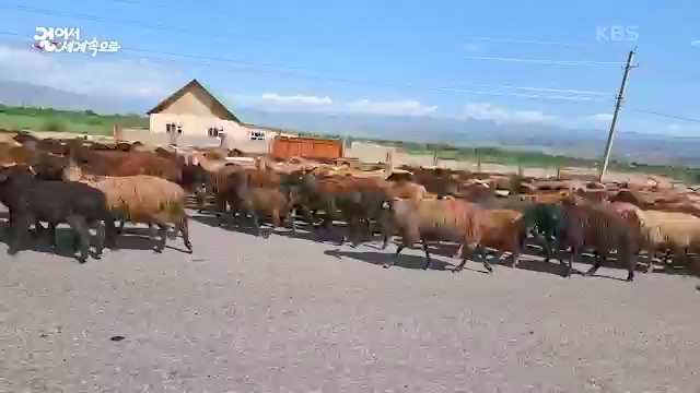 [801회] 걸어서 세계속으로 - KBS.ts_20230815_181005.919.jpg