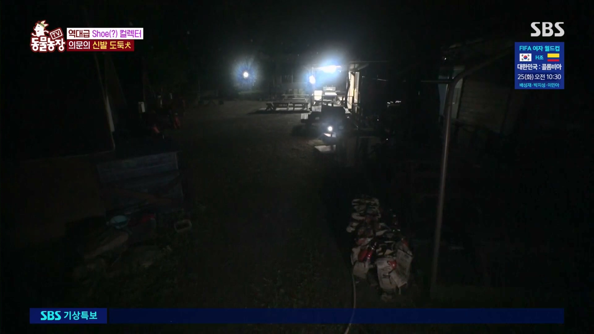 TV 동물농장.E1130.230723p.H264-F1RST.mp4_20230723_171217.643.jpg