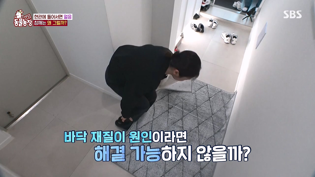 TV 동물농장.E1177.240624p-NEXT.mp4_20240623_163757.600.jpg