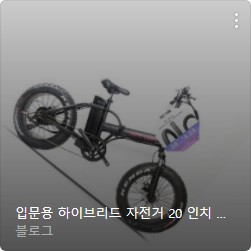 전기 자전거 추천