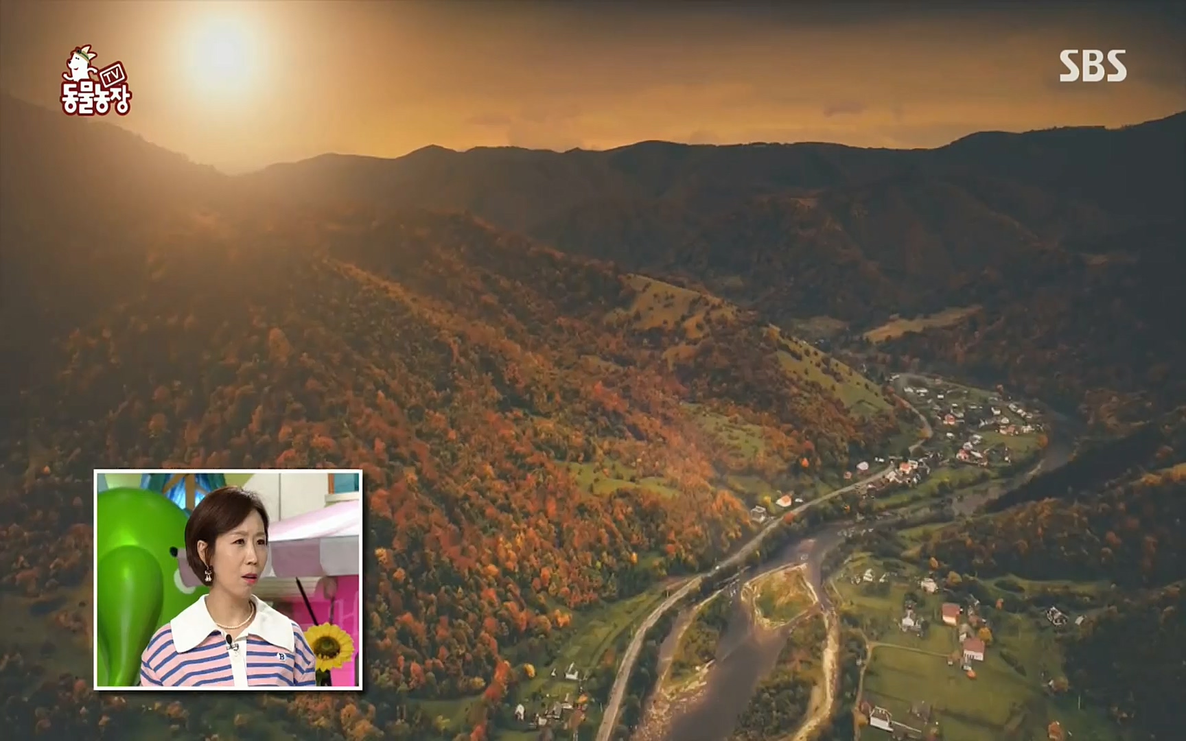 TV 동물농장.E1062.220327p.H264-F1RST.mp4_20220327_174404.439.jpg