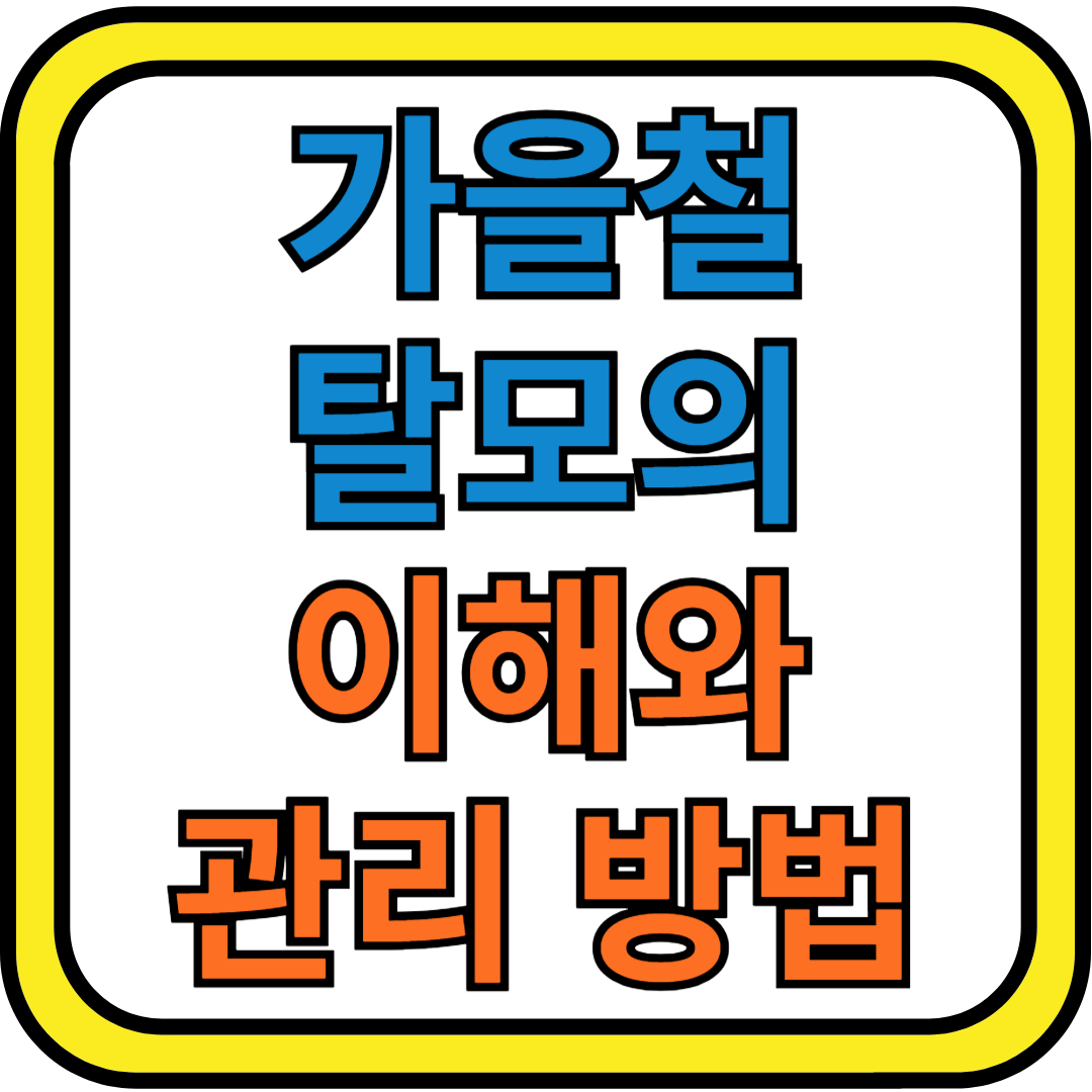 가을철 탈모의 이해와 관리 방법