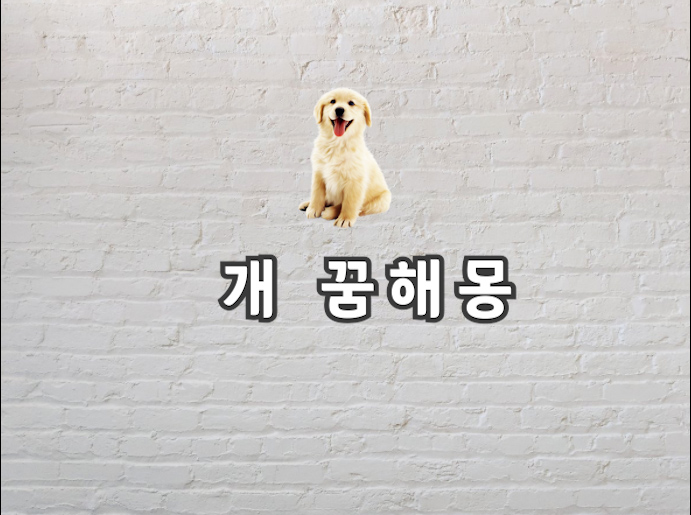  개 꿈 정확한 개 꿈해몽이 궁금하다면?