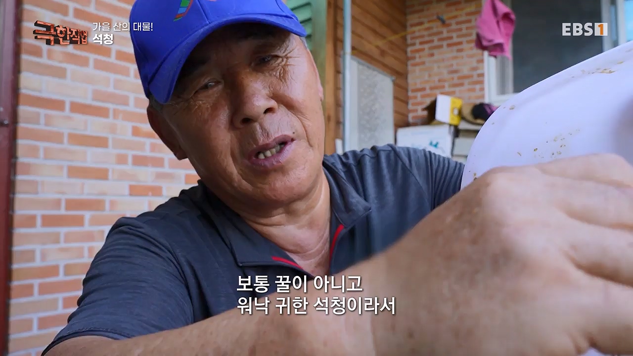 TV - 전 국민의 평생학교 EBS가을 산의 대물! 석청과 버섯.mp4_20230916_171655.276.jpg