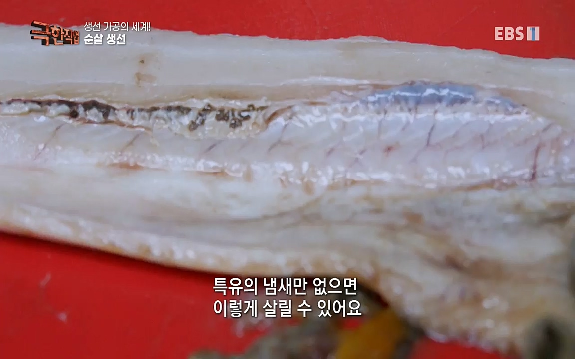 TV - 교육의 중심 EBS생선가공의 세계!-냉동참치, 참치액. 순살생선-.mp4_20220906_201949.995.jpg