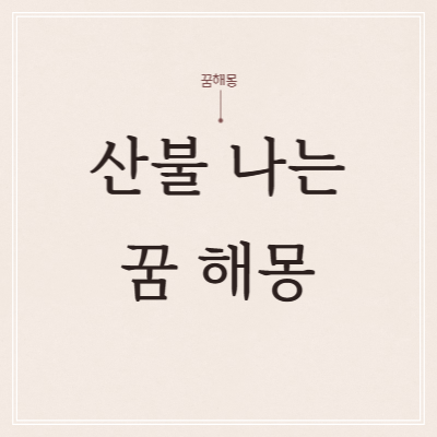  산불 나는 꿈 해몽 정리