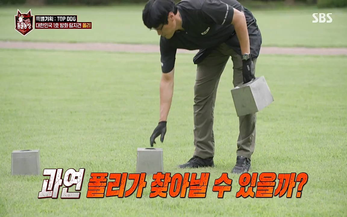 TV 동물농장.E1085.220905p-NEXT.mp4_20220904_173549.368.jpg