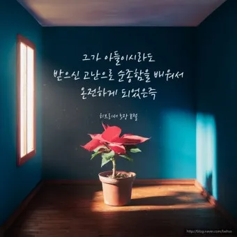 히브리서 5장 하느님의 성경말씀 묵상 해석_3