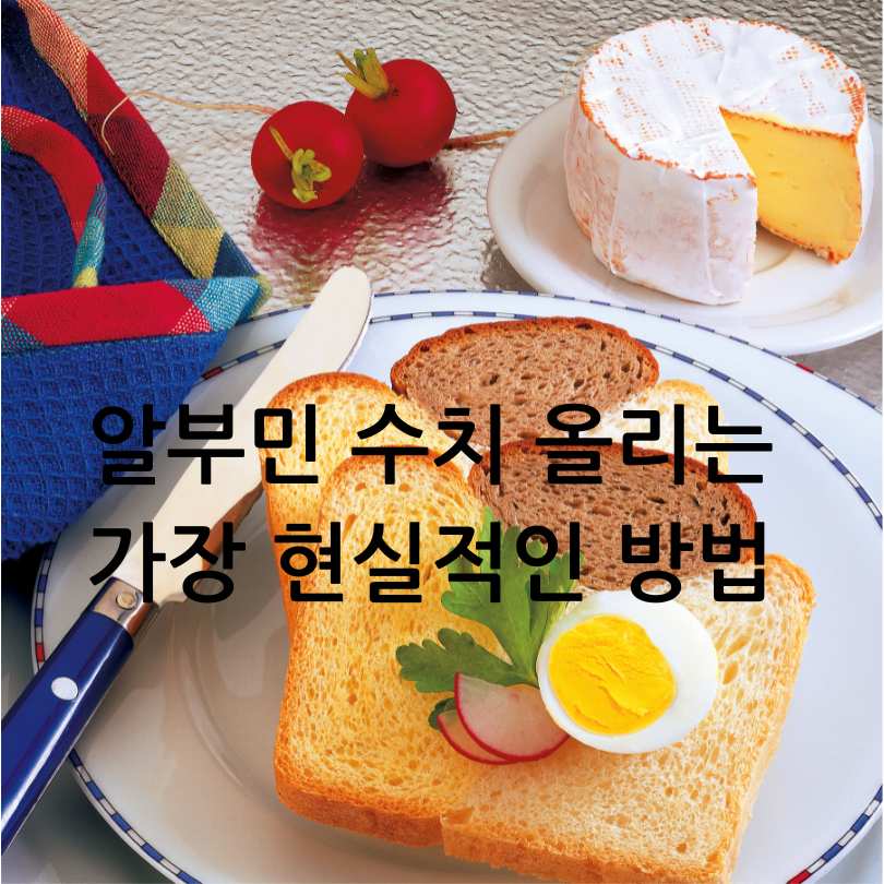 알부민 수치 올리는 법 
