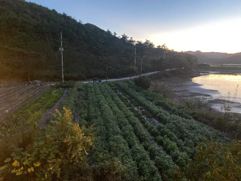 풍경1