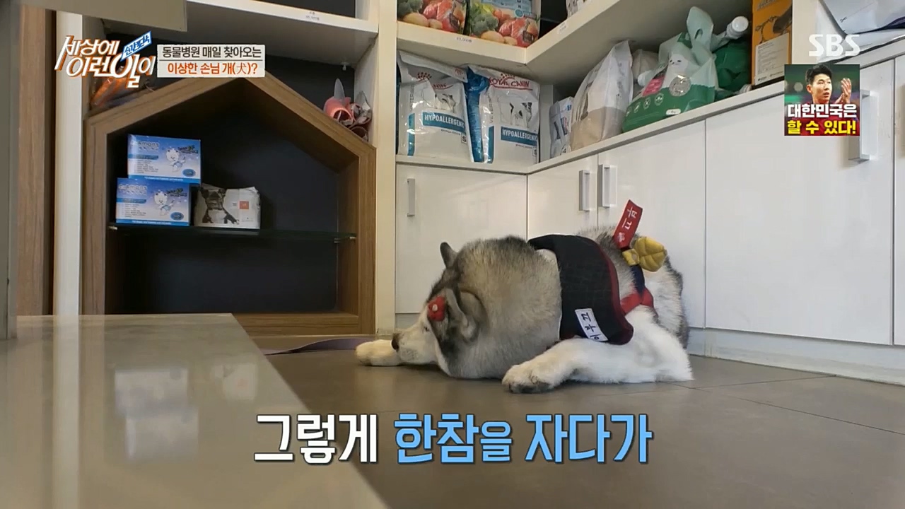 순간포착 세상에 이런일이.E1207.221130p.H264-F1RST.mp4_20221130_195658.742.jpg