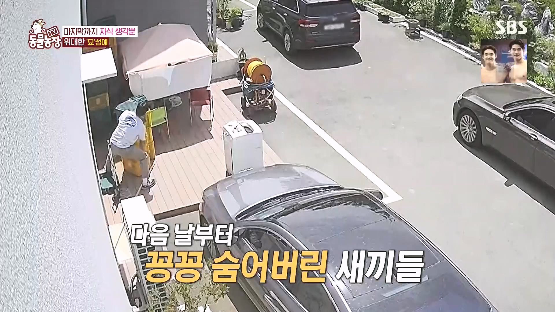 TV 동물농장.E1182.240728p.H264-F1RST.mp4_20240728_152526.892.jpg