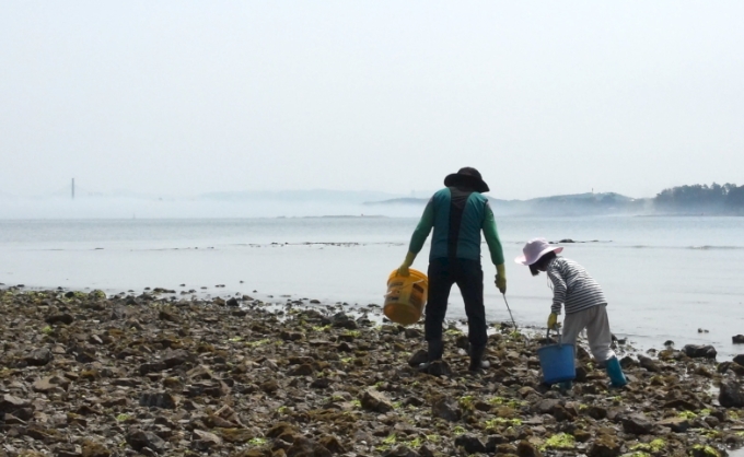 한국기행-화천-비수구미-산나물밥상-김영순할매