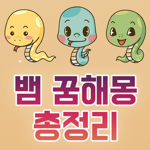  뱀 꿈해몽 풀이 정리