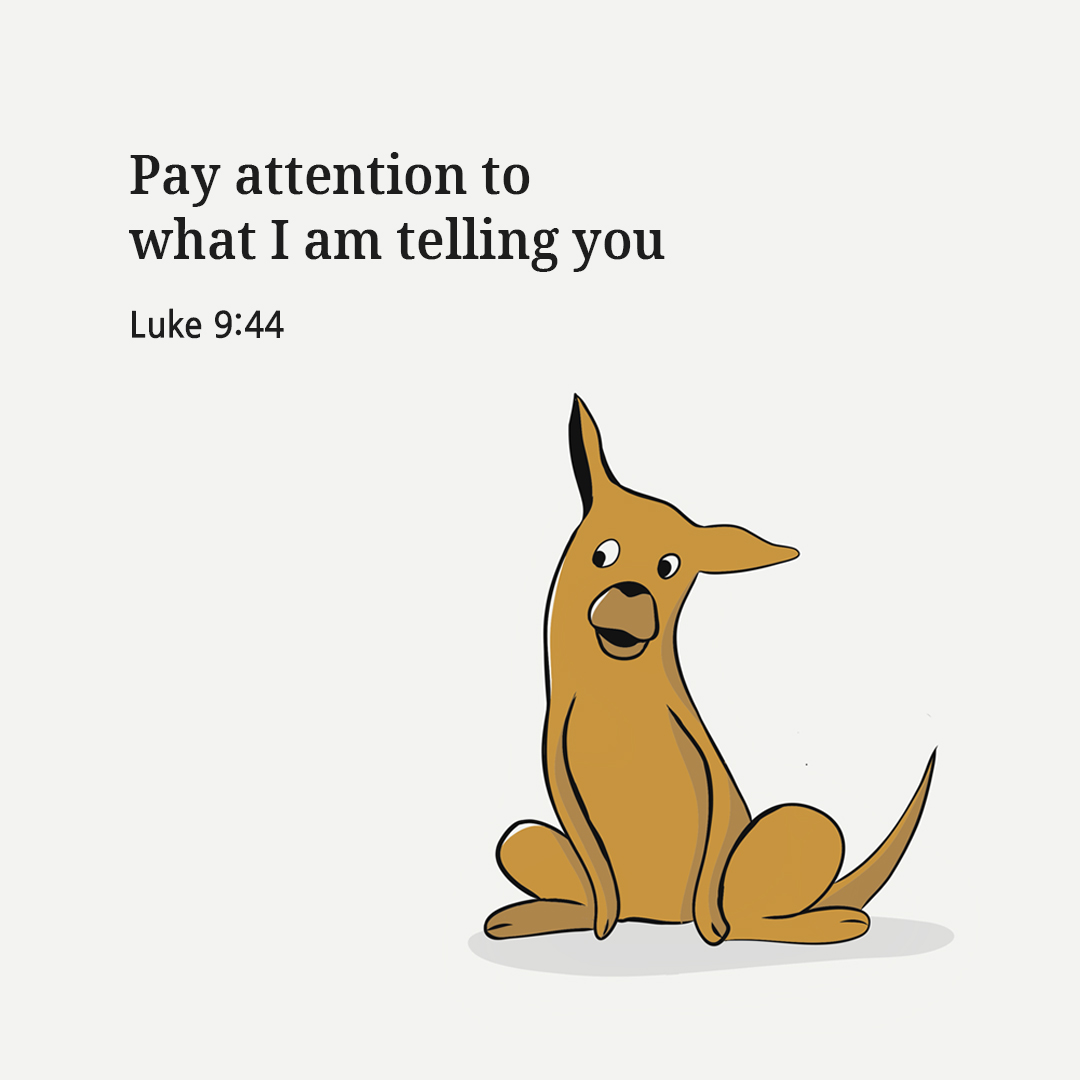Pay attention to what I am telling you. (Luke 9:44)