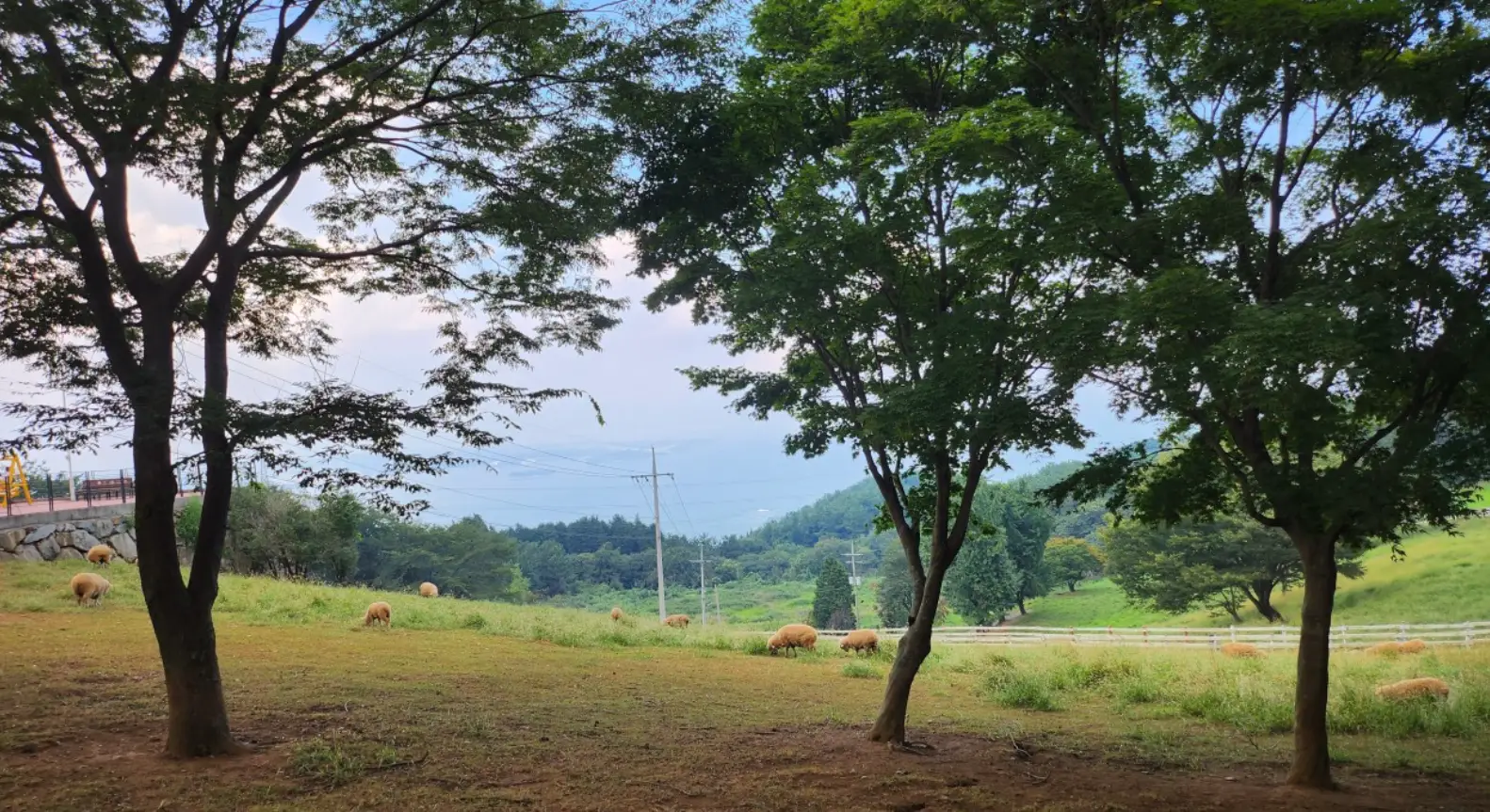 사진2