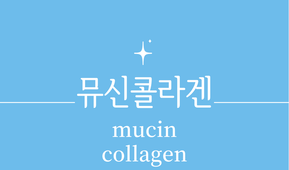 &#39;뮤신콜라겐(mucin collagen)&#39;