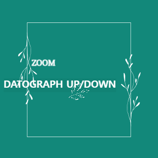DATOGRAPH UP/DOWN