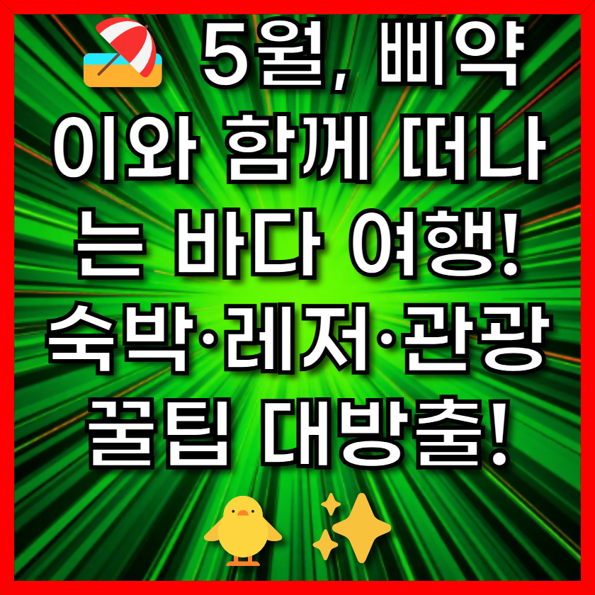 🏖️ 5월, 삐약이와 함께 떠나는 바다 여행! 숙박·레저·관광 꿀팁 대방출! 🐥✨