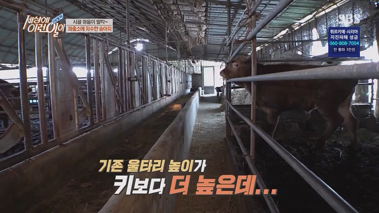 순간포착 세상에 이런 일이.E1217.230215p.WANNA.mp4_20230215_194718.358.jpg