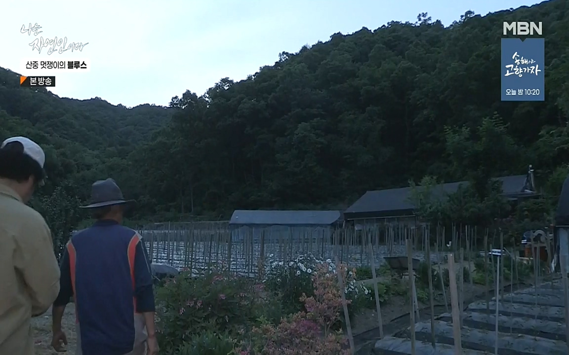 나는 자연인이다.E505.220609p-NEXT.mp4_20220609_200158.183.jpg
