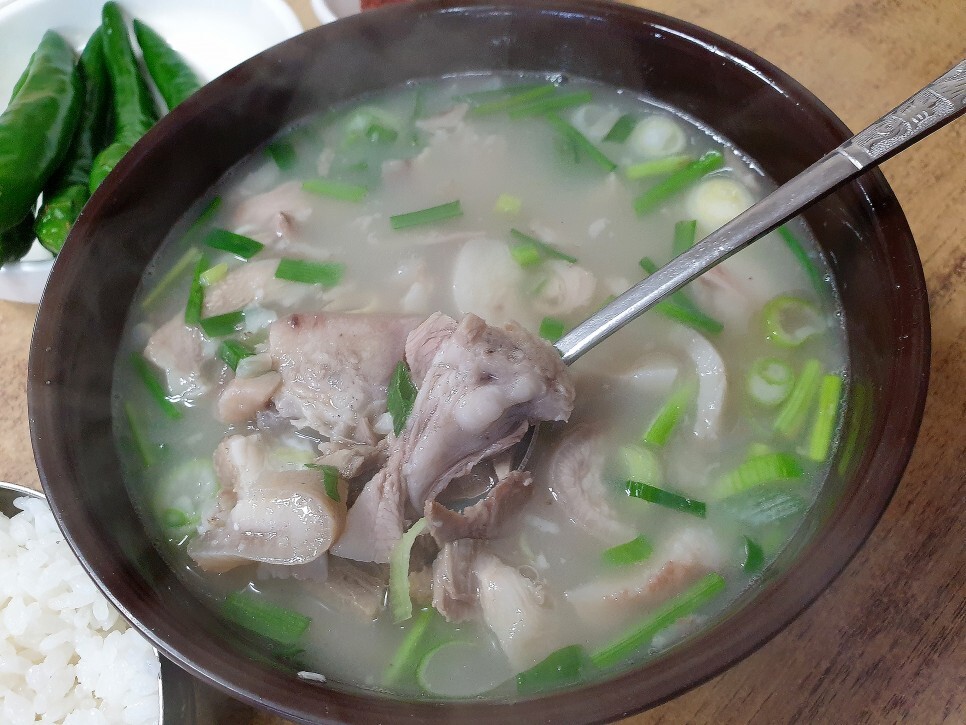 대구 맛집탐방 북부정류장, 서대구고속터미널 근처 국밥 진배기원조할매국밥 만평점 후기 - 진배기원조할매국밥 만평점 후기 대구 맛집탐방 북부정류장, 서대구고속터미널 근처 국밥 진배기원조할매국밥 만평점 후기 - 진배기원조할매국밥 만평점 후기