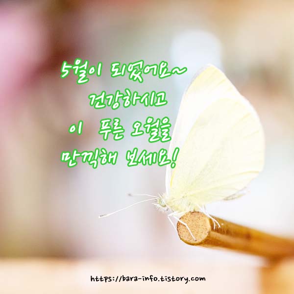 5월 모임 인사말