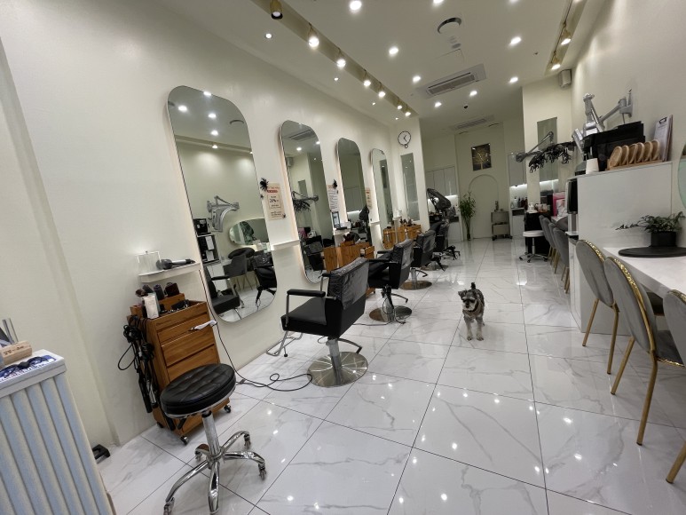 발레아주 색감 미쳤다 광교 미용실 애쉬그레이 7