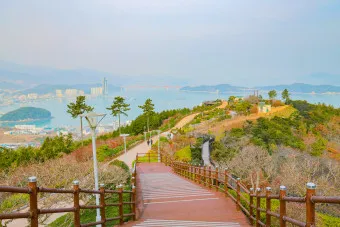 완도 청산도 배시간표 요금 배편 예약_3