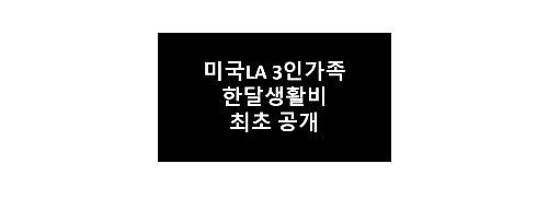 미국 3인가족 생활비