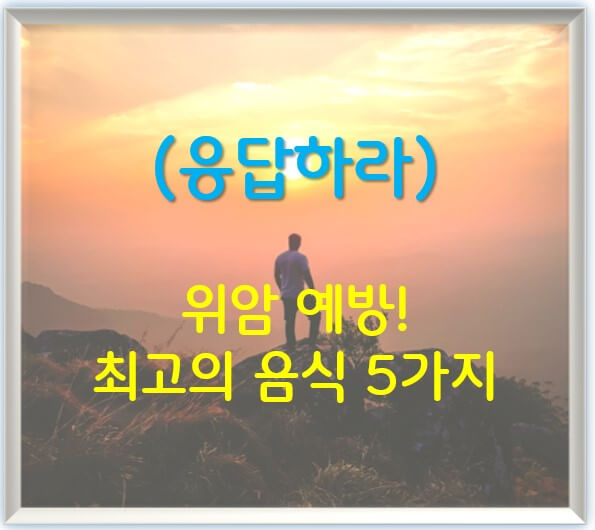 위암예방_최고음식5가지