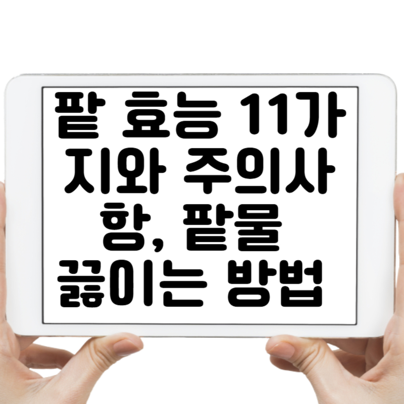팥 효능 11가지와 주의사항, 팥물 끓이는 방법 완벽 가이드