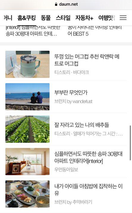  티스토리 조회수가 갑자기 상승한 이유......