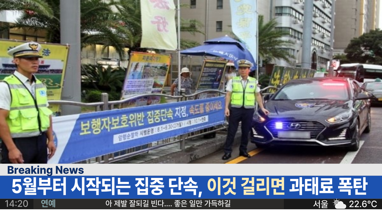  '진짜 조심하세요' 5월부터 집중 단속 시작하는 '이것' 걸리면 과태료 폭탄 맞을수 있습니다.