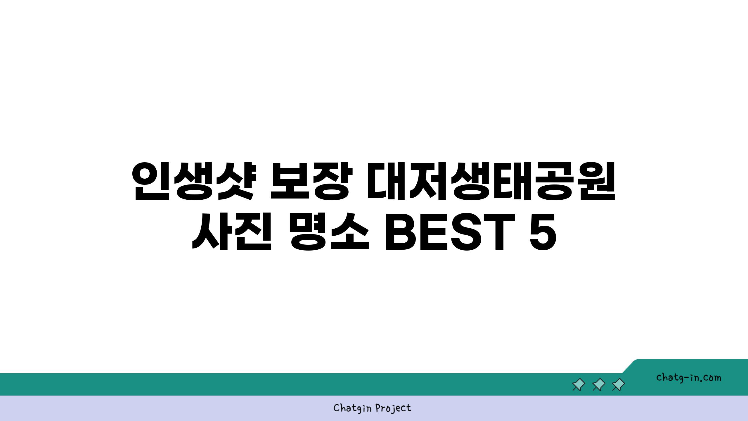 인생샷 보장 대저생태공원 사진 명소 BEST 5