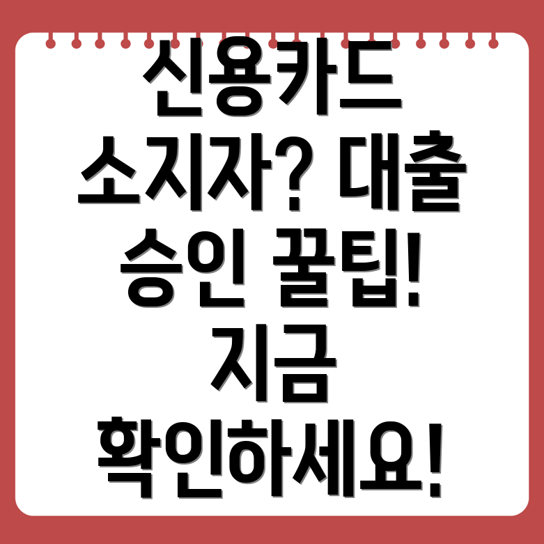 신용카드 소지자 대출