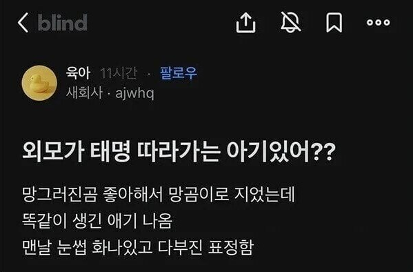 &lt; blind
육아 11시간
팔로우
새회사·ajwhq
외모가 태명 따라가는 아기있어??
망그러진곰 좋아해서 망곰이로 지었는데
똑같이 생긴 애기 나옴
맨날 눈썹 화나있고 다부진 표정함