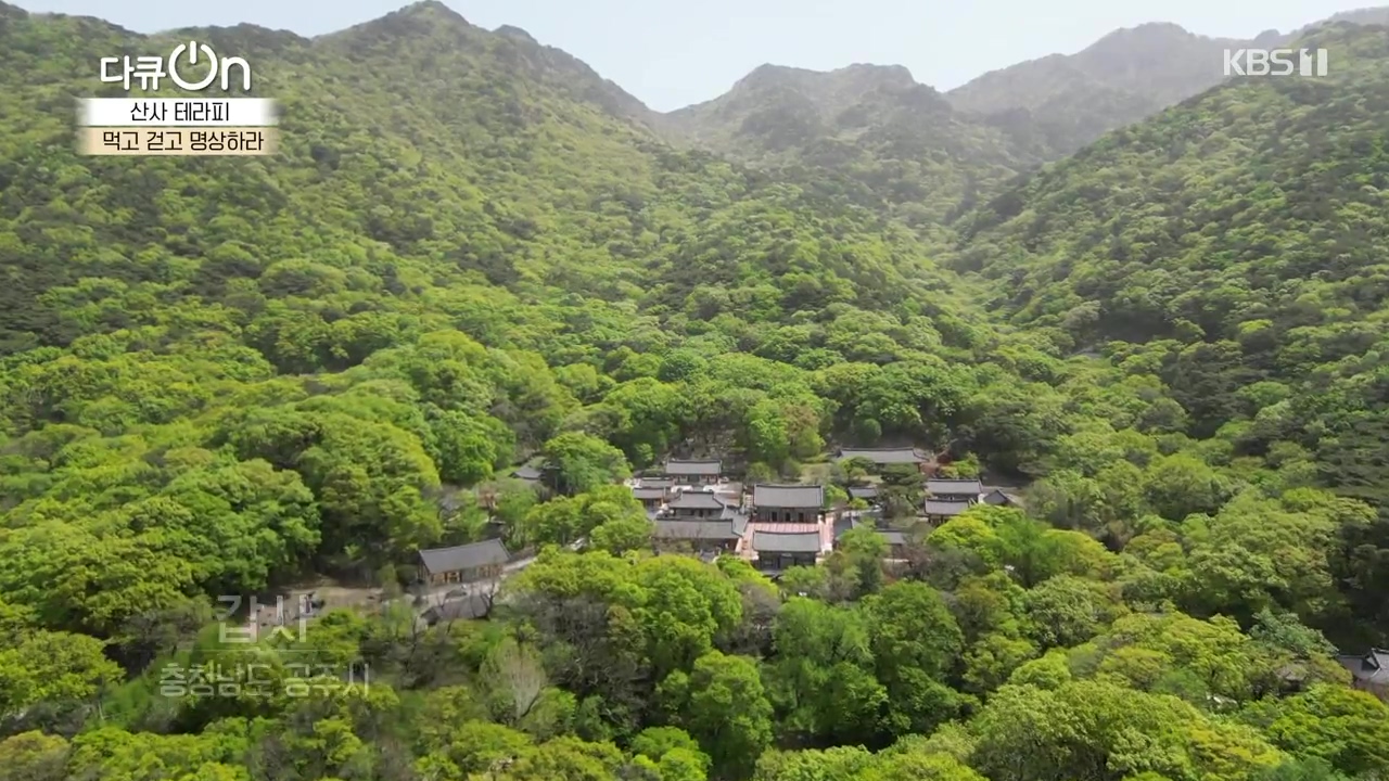 다큐 온.E257.240714p-NEXT.mp4_20240714_163136.179.jpg