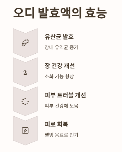 오디 발효액 효능