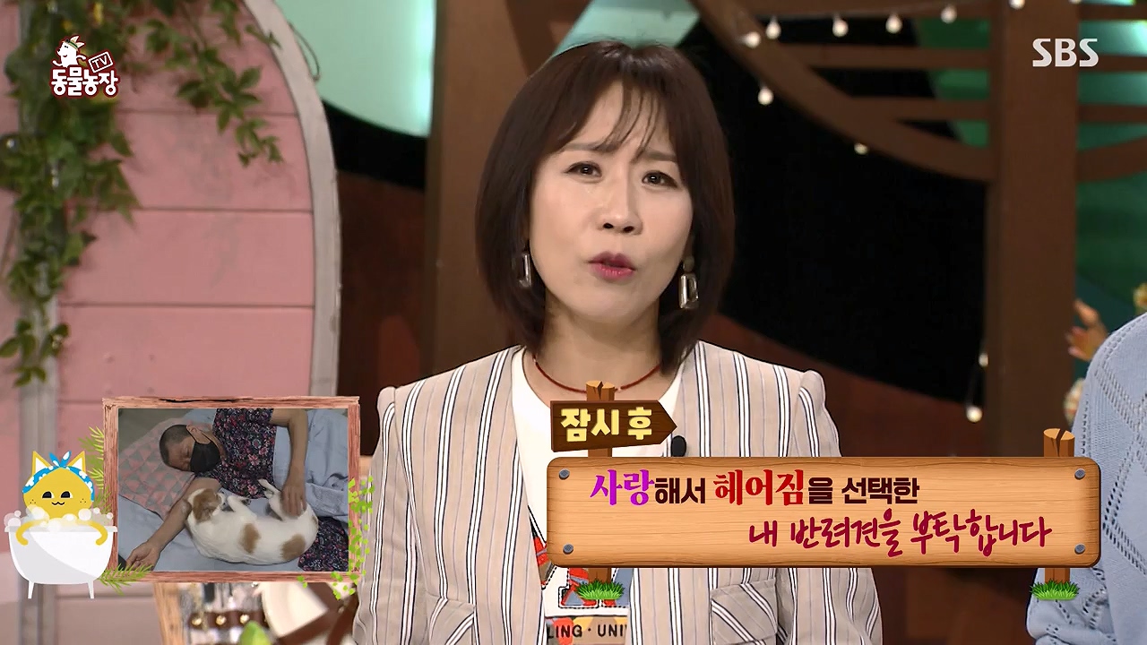 TV 동물농장.E1174.240603p-NEXT.mp4_20240602_155733.100.jpg