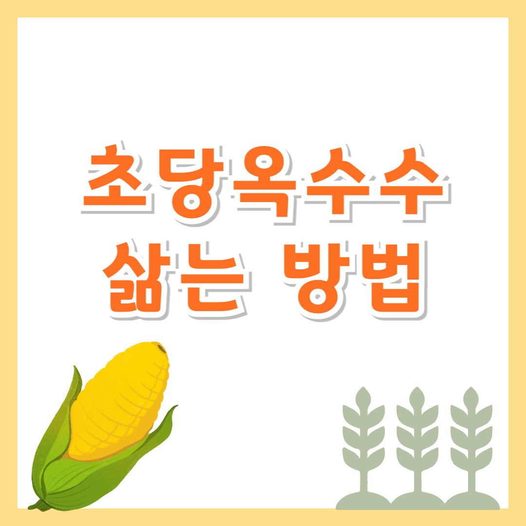 초당옥수수 삶는법