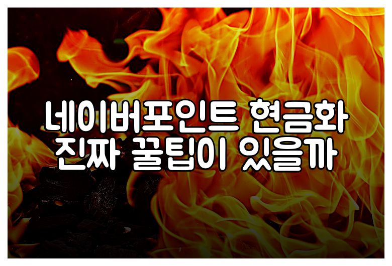 네이버포인트 현금화 진짜 꿀팁이 있을까