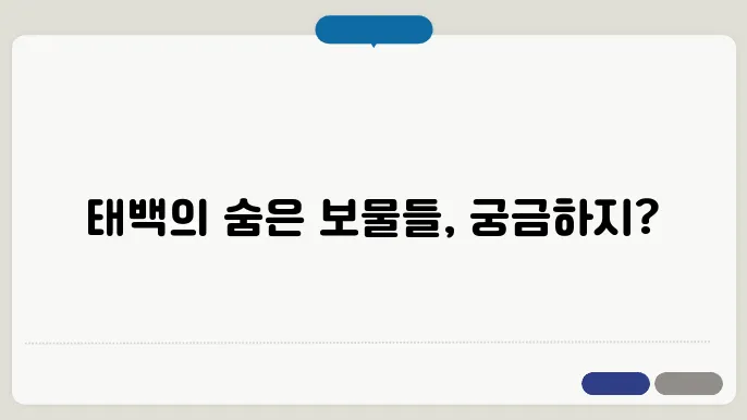 태백시립도서관